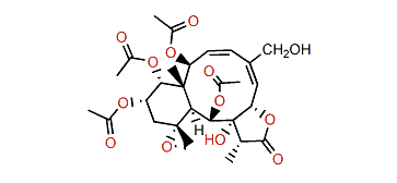 Juncenolide B